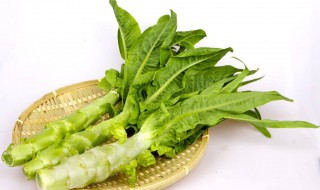 种莴笋小技巧（如何种植莴笋长势好）