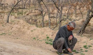 守村人是什么意思 农村守村人是什么意思