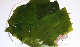海带叶芽怎么保存 海带叶芽怎么保存不会坏