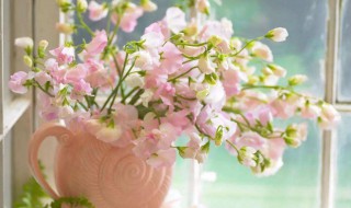 鲜花怎么保存更长 鲜花怎么保存更长的时间