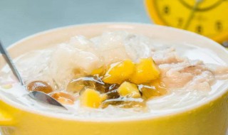 海石花的功效与禁忌 海石花的功效与禁忌海石花果冻是怎么做