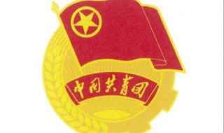 政治面貌怎么填?（政治面貌怎么填高一新生）