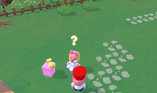 摩尔庄园记者伪装怎么做（摩尔庄园记者伪装怎么完成）