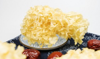 白木耳发黄还能吃吗（白木耳发黄还能吃吗为什么）
