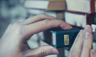 什么是网格化管理 什么是网格化管理服务