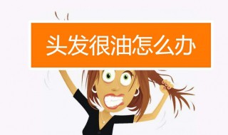 头发出油怎么办好 头发出油怎么紧急补救