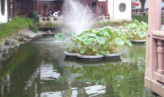 水肥起泡沫怎么处理 水肥起泡沫怎么处理干净