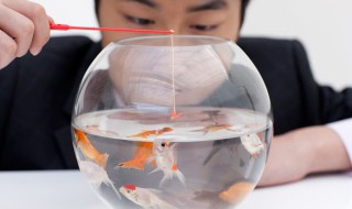 绑鱼嘴的方法（大鱼怎么绑嘴巴）