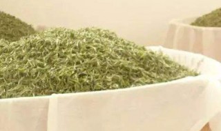 烘干白茶的方法