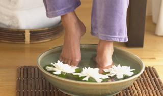 去湿养脾的方法（养脾去湿的药有哪些）