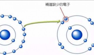 清除自由基最好的方法（清除自由基最好的方法视频）