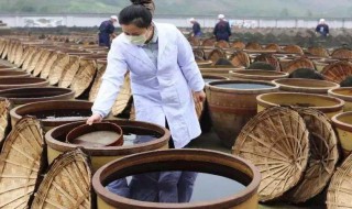 醋吃多了会怎么样 玫瑰醋吃多了会怎么样