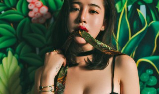 绿茶女什么意思（绿茶女什么意思网络用语）