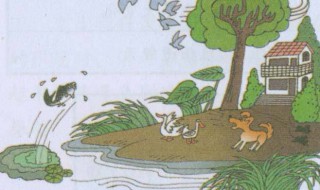 地震前有哪些异常征兆（四川地震前有哪些异常征兆）