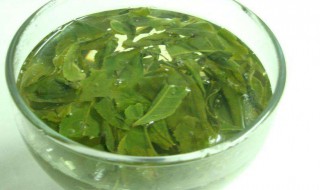茶叶的用肥方法 茶叶的肥料