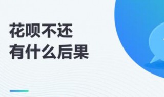 花呗用了不还会怎么样 如果花呗用了不还会怎么样