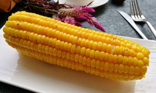 玉米收藏的方法（玉米收藏方法视频）