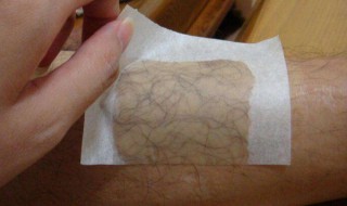 怎样能除毛 怎样除毛毛虫