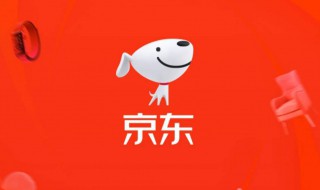 怎样在京东上开网店（怎样在京东上开网店需要多少钱）