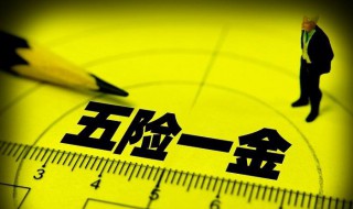 五险一金包括什么及缴纳比例（五险一金有哪些缴纳比例）