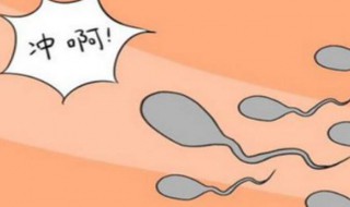 怎样才可以怀孕 男生怎样才可以怀孕