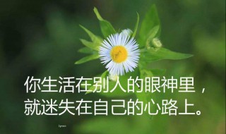 经典句子人生感悟（经典句子人生感悟励志）