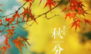 秋分是秋天的第几个节气（秋分是秋天的第几个节气?A.2B.3C.4）