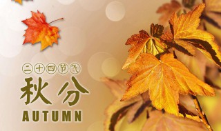 秋分到来预示着什么（秋分到秋天了吗）
