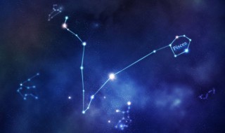 双子子座和什么星座最配（双子座和哪些星座最配?）