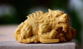 貔貅放在家里什么位置好（貔貅放在家里什么位置好风水）