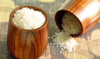 大米怎样做不生虫 大米怎样做不生虫呢