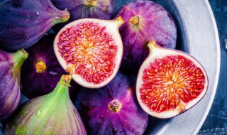 无花果的花在哪里（无花果的花在哪里啊）