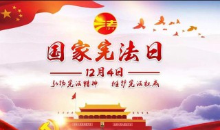 宪法宣传标语（宪法宣传标语有哪些）