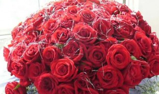 九朵玫瑰花代表什么 九朵玫瑰花代表什么意思颜色
