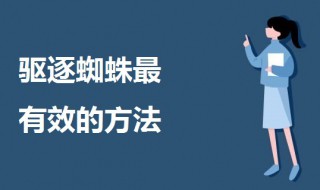 驱逐蜘蛛最有效的方法 驱逐蜘蛛最有效的方法家用