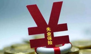 失业金是领保险金还是补助金 失业金是领取保险金还是补助金