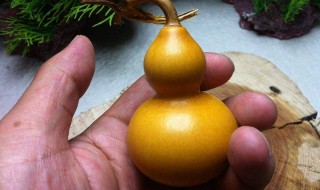 葫芦怎么处理才能保存（刚摘的葫芦怎么处理才能保存）