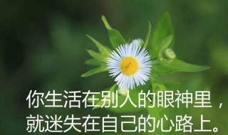 感悟人生句句精美（感悟人生的句子2019-12-16171阅读）