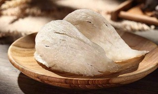 啥是燕窝（燕窝是啥东西）