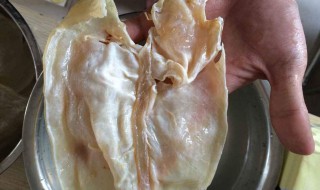 鱼胶清洗方法（鱼胶清洗方法视频教程）