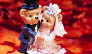 结婚20年是啥婚（结婚20年是什么意思）