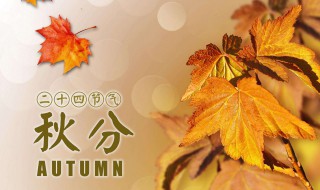 春夏秋冬分别是哪几个月 中国的春夏秋冬分别是哪几个月