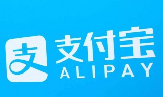 支付宝怎么改支付密码（支付宝怎么改支付密码安卓）