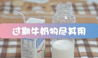 牛奶过期了如何利用（牛奶过期了如何利用浇花）