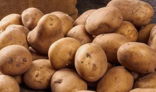 土豆营养价值及功效 土豆营养价值及功效与作用
