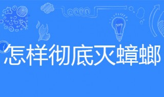 怎样彻底灭蟑螂（怎样彻底灭蟑螂最有效）