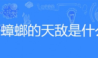 蟑螂的天敌（蟑螂的天敌植物薄荷）