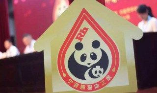 熊猫血有什么好处（熊猫血有什么好处啊）
