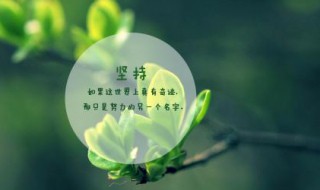 霸气高冷有个性的句子（霸气高冷有个性的句子女生）