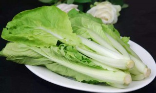 小白菜的营养价值及功效（小白菜的营养价值及功效作用及禁忌）
